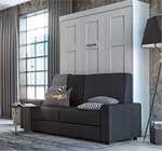 Murphy Bed with Couch in Front