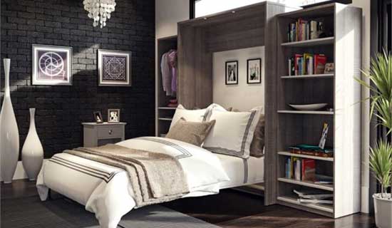 Murphy Bed with Double Closets on Open Loft Home