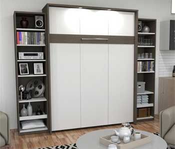 Murphy Bed in Living Room with Bookcases